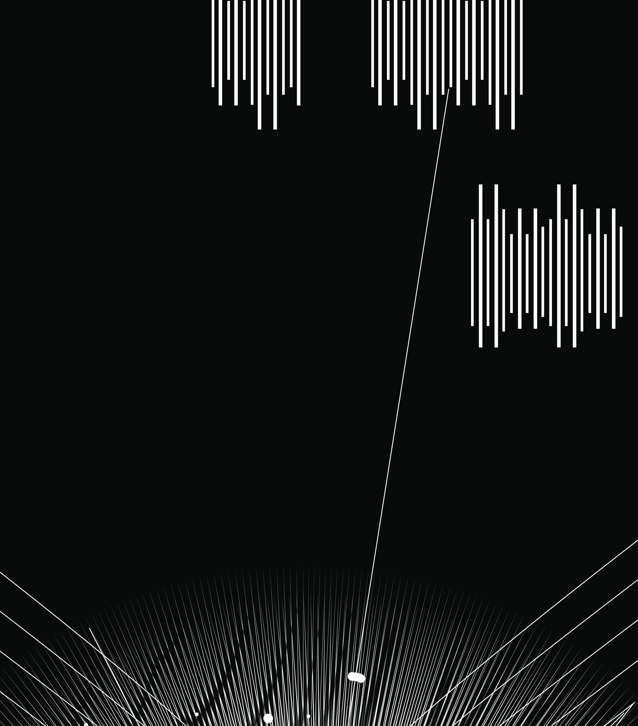 We strive for excellence